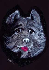 chow chow